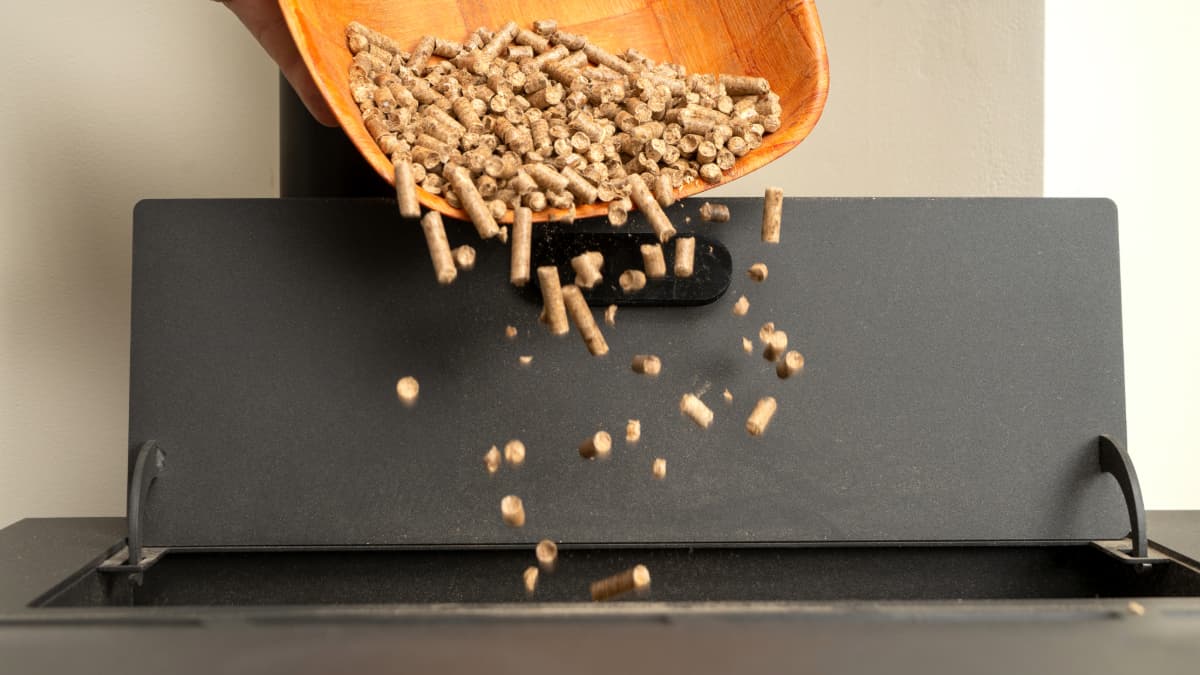pellets versés dans un bac