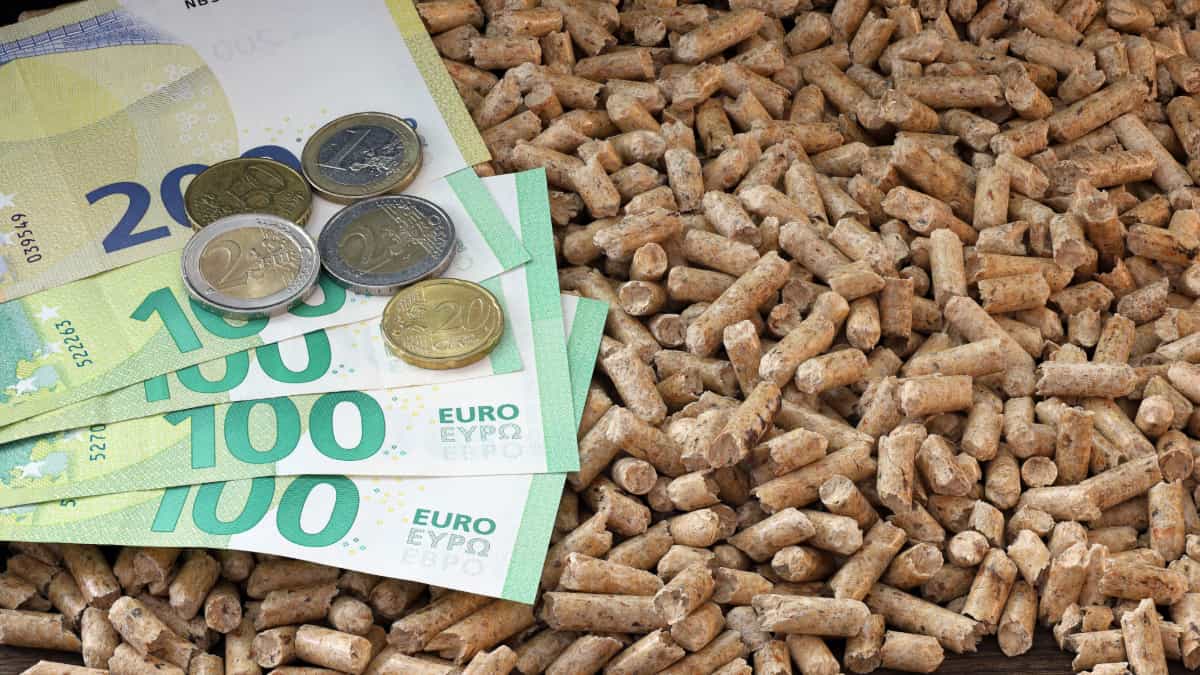 billets d'euros enfouis dans du pellets de bois