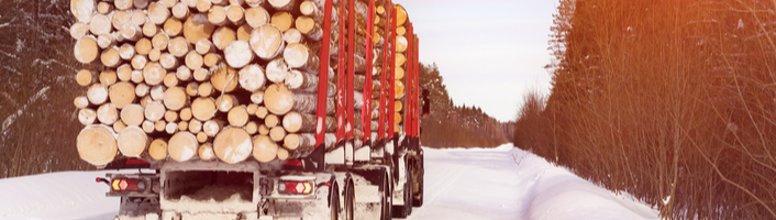 camion transporteur de bois sur route enneigée