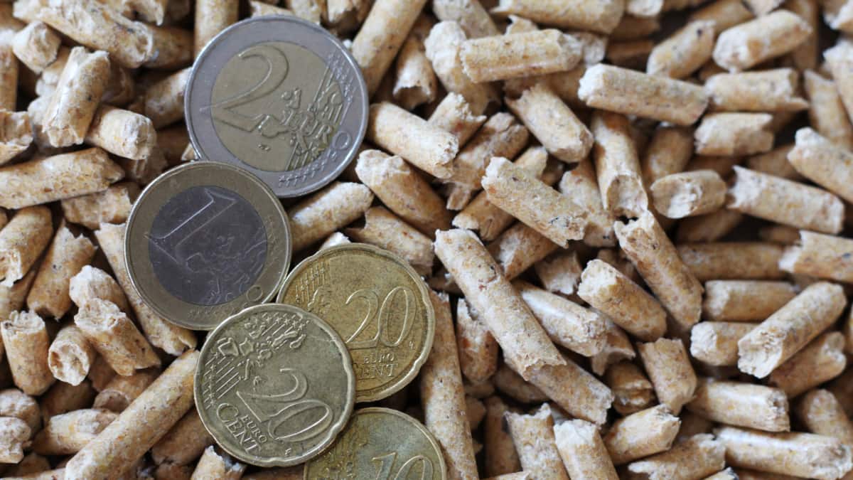 pièces d'euros sur un tas de pellets de bois