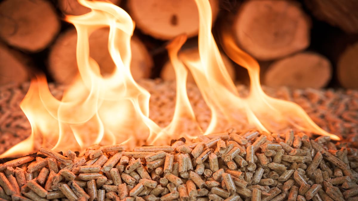 tas de pellets de bois enflammés