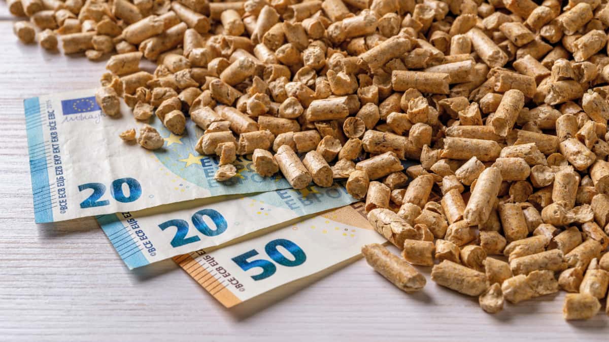billet de vingt euros enfouis sous des pellets