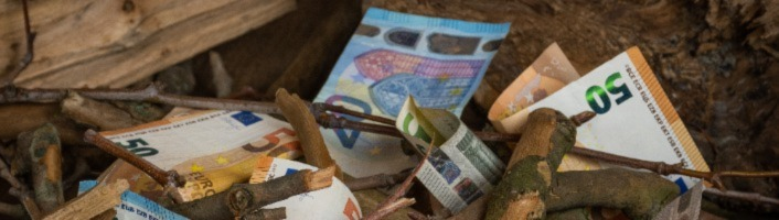 personne s'apprêtant à enflammer du bois et des billets d'euros