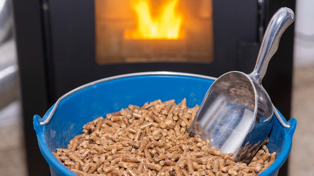 du pellets et une pelle dans un bac