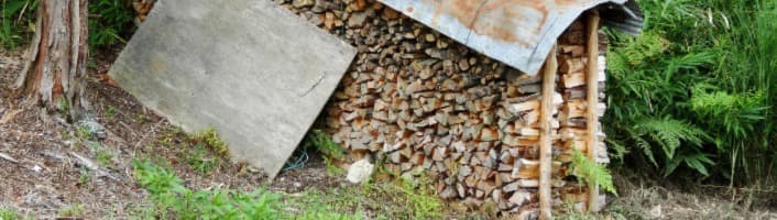 focus sur un abri bûches