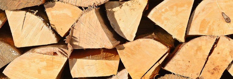tas de bûches de bois coupées