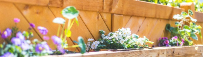 mur de jardin en palette de bois