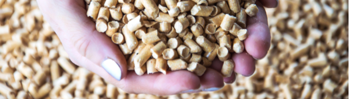 mains offrant des granulés de bois