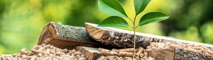 pellets et bûches avec une plante verte