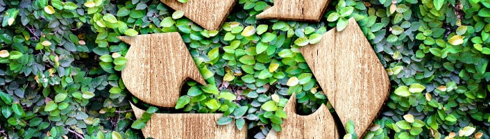 mur de feuilles avec symbole recyclage en bois
