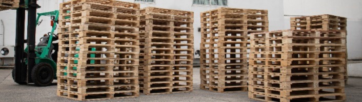 focus sur des palettes de bois