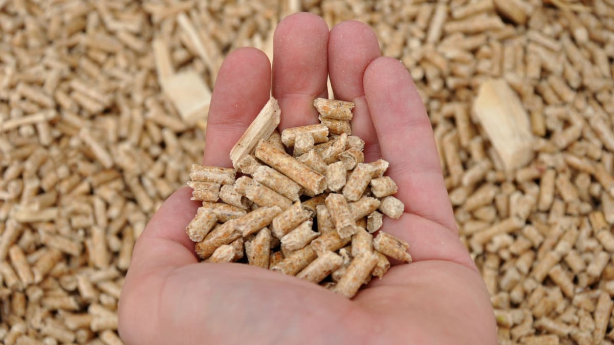 main tenant quelques pellets de bois