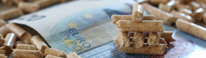 billet de vingt euros enfouis sous des pellets