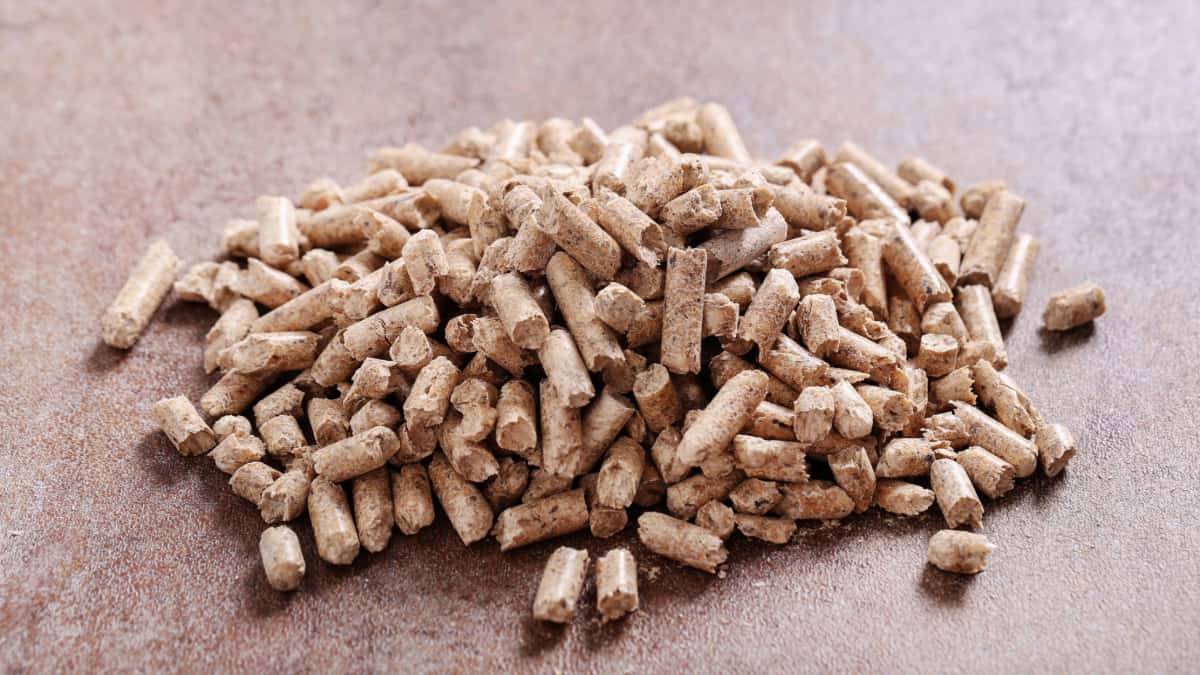 tas de pellets de bois