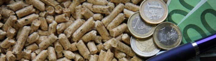 stylo billets et pièces d'euros sur des granulés de bois