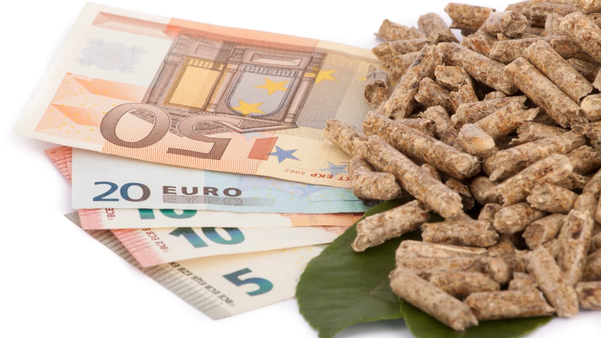 billets d'euros enfouis dans du pellets