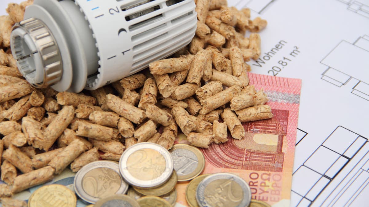 des pièces avec du pellets et un bouton de radiateur