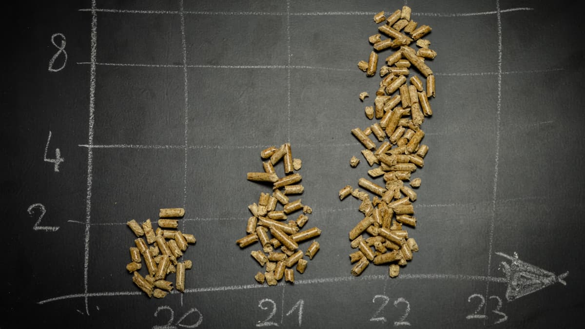 pellets posés sur un tableau noir