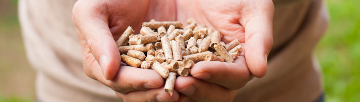 mains remplies de pellets de bois