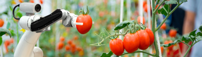 agriculture de demain 2050