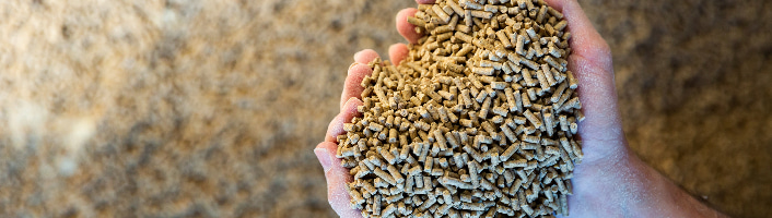 mains remplies de pellets de bois