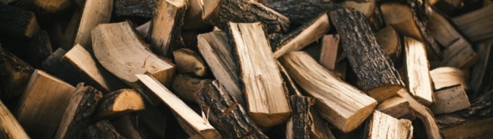 focus sur des bûches coupées