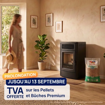 femme dans son salon